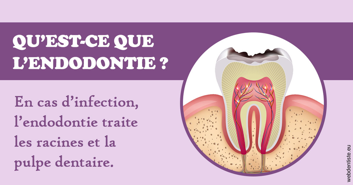 https://www.orthodontiste-charlierlaurent.be/2024 T1 - Endodontie 02
