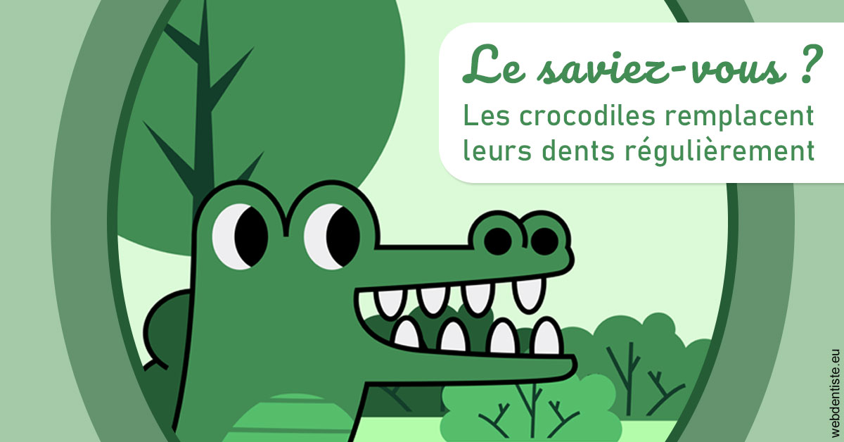 https://www.orthodontiste-charlierlaurent.be/Crocodiles 2
