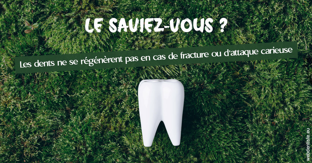 https://www.orthodontiste-charlierlaurent.be/Attaque carieuse 1