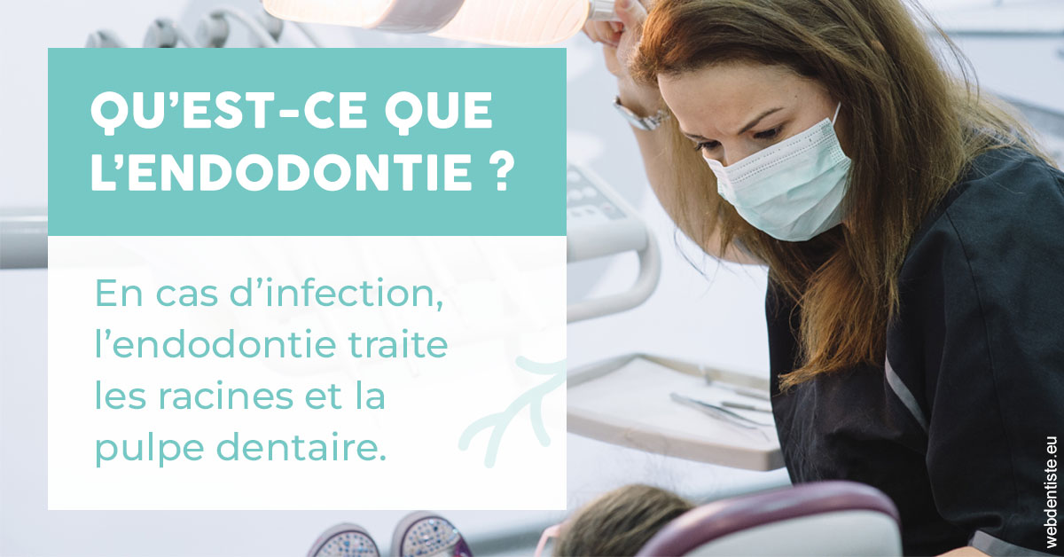 https://www.orthodontiste-charlierlaurent.be/2024 T1 - Endodontie 01
