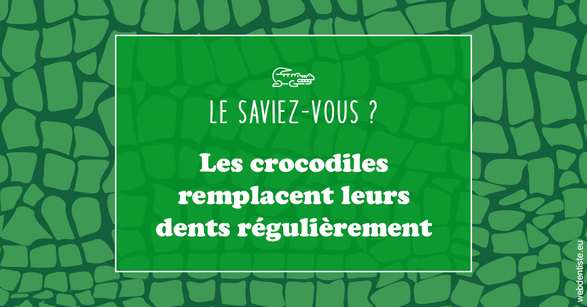 https://www.orthodontiste-charlierlaurent.be/Crocodiles 1
